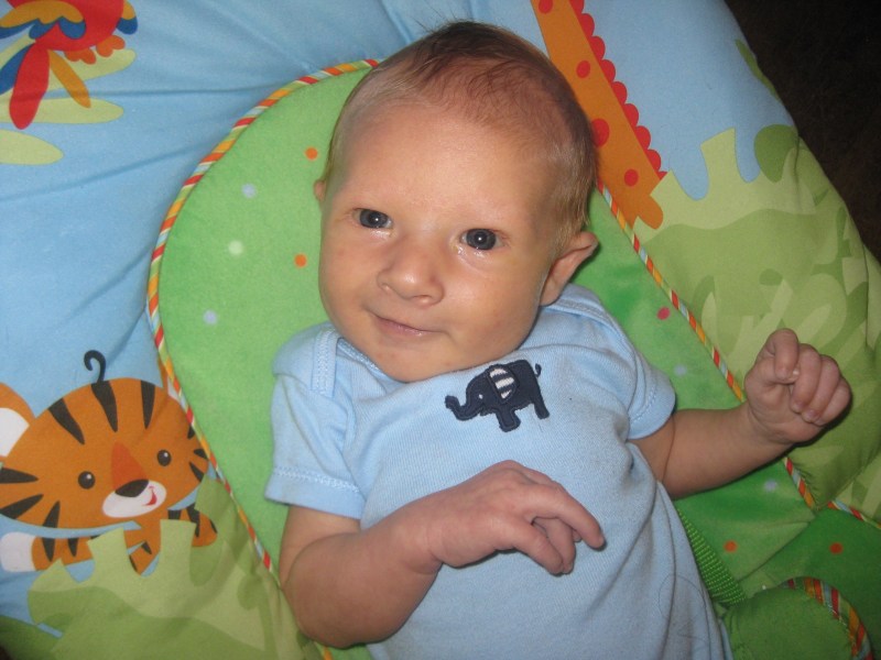 Silas, six weeks old